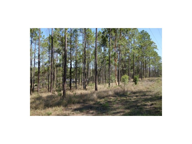 Lot 303 Arborfour Road, Glenwood QLD 4570
