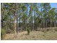 Lot 303 Arborfour Road, Glenwood QLD 4570