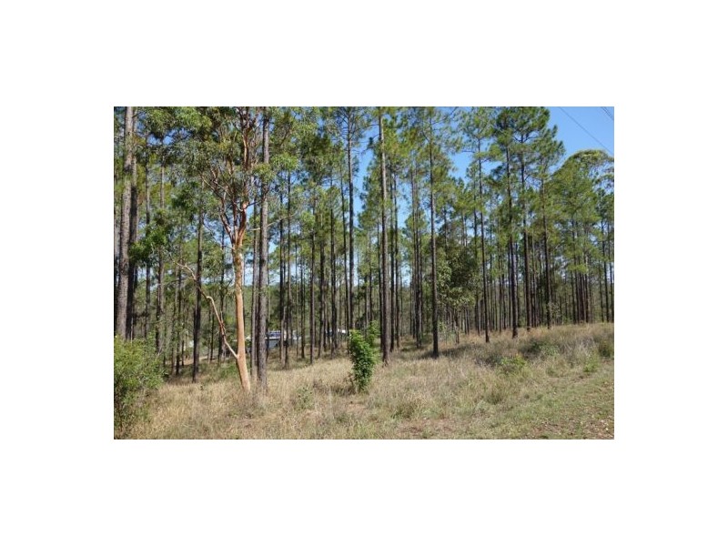 Lot 303 Arborfour Road, Glenwood QLD 4570