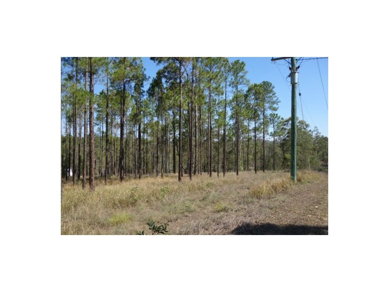 Lot 303 Arborfour Road, Glenwood QLD 4570