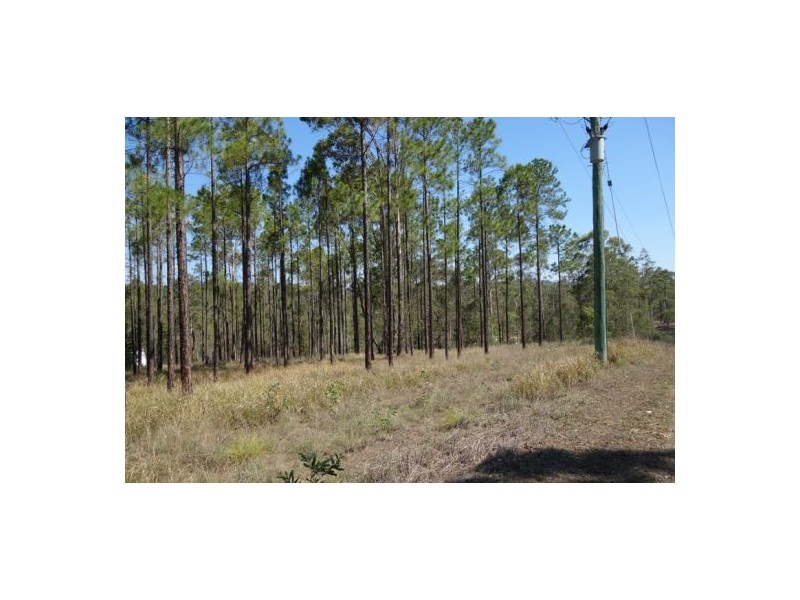 Lot 303 Arborfour Road, Glenwood QLD 4570