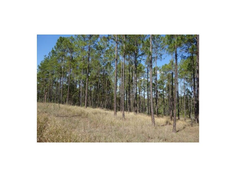 Lot 303 Arborfour Road, Glenwood QLD 4570