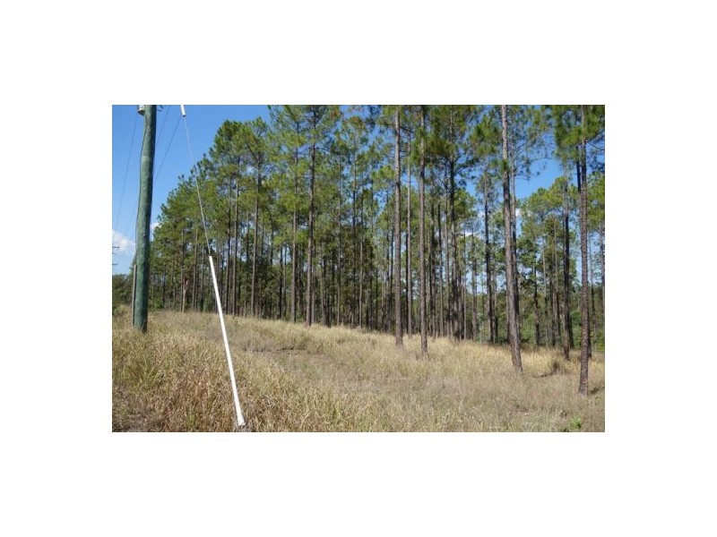 Lot 303 Arborfour Road, Glenwood QLD 4570