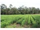 Curra QLD 4570