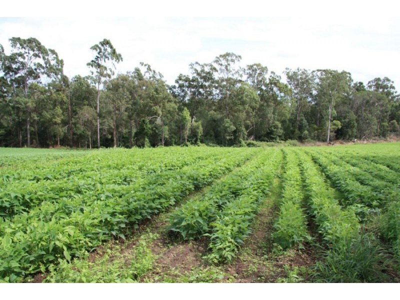 Curra QLD 4570