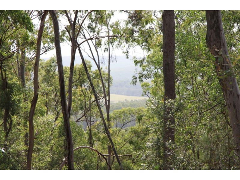Curra QLD 4570