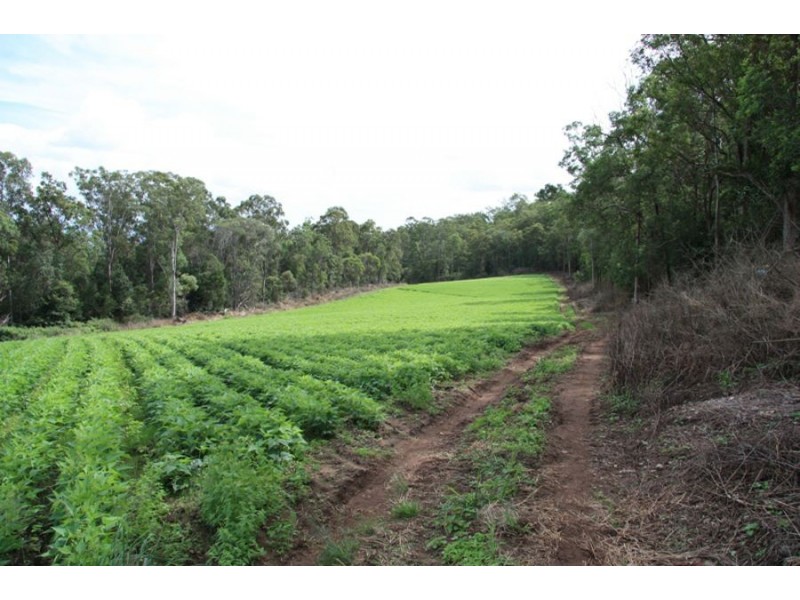 Curra QLD 4570