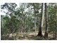 Curra QLD 4570