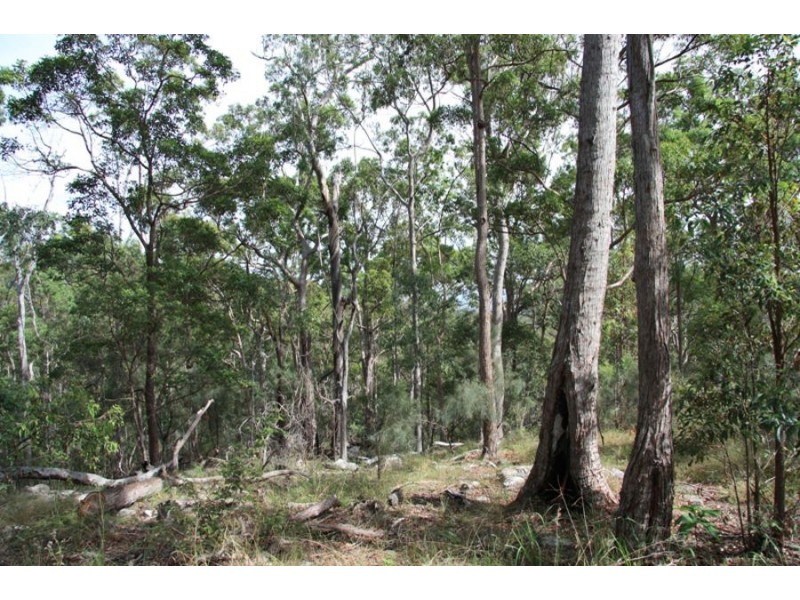 Curra QLD 4570