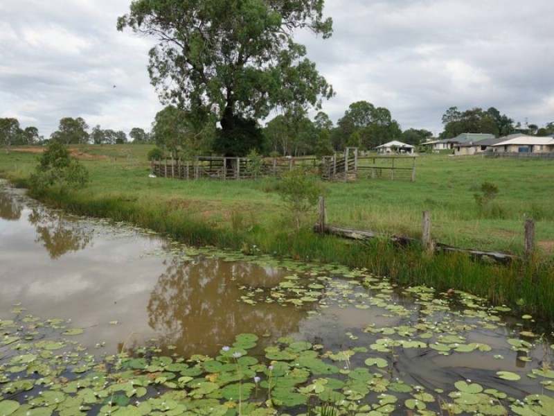 7 Eagle Hawk Drive, Southside QLD 4570