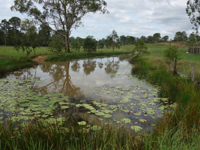 7 Eagle Hawk Drive, Southside QLD 4570