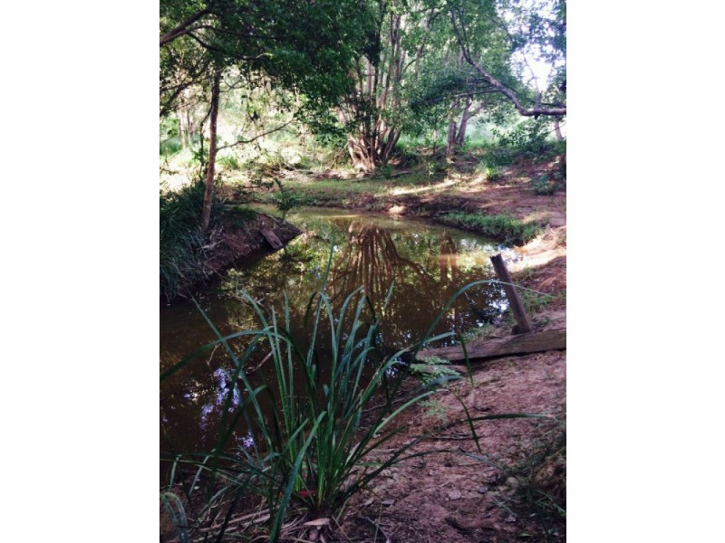 53 White Tail Drive, Banks Pocket QLD 4570