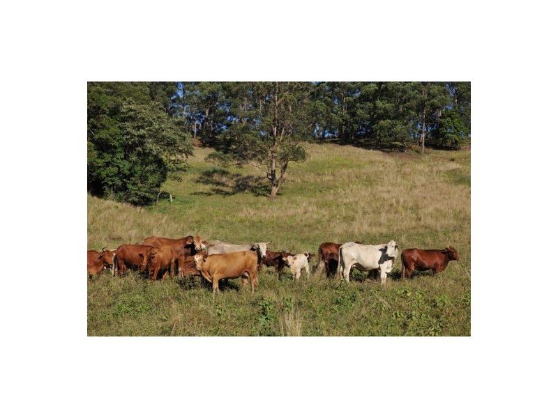 Beenaam Valley QLD 4570