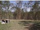 11 Tilba Road, Scrubby Creek QLD 4570