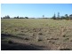 Tiaro QLD 4650