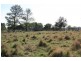 Tiaro QLD 4650