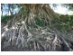 Tiaro QLD 4650