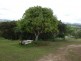 16 Panorama Drive, The Dawn QLD 4570