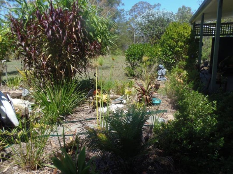 159 Van Hensbroek Road, Bauple QLD 4650