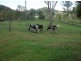 Kin Kin QLD 4571