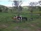 Kin Kin QLD 4571