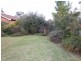 16 CAMELLIA STREET ***OWNER MANAGING***, Greystanes NSW 2145