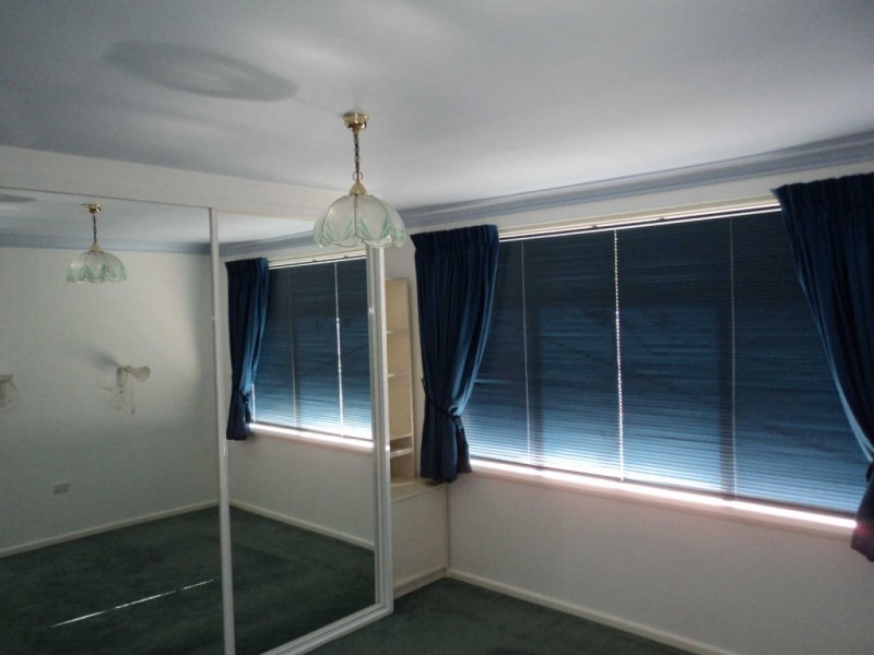 16 CAMELLIA STREET ***OWNER MANAGING***, Greystanes NSW 2145