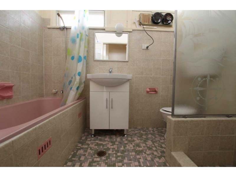 100 FRANCES STREET, South Wentworthville NSW 2145