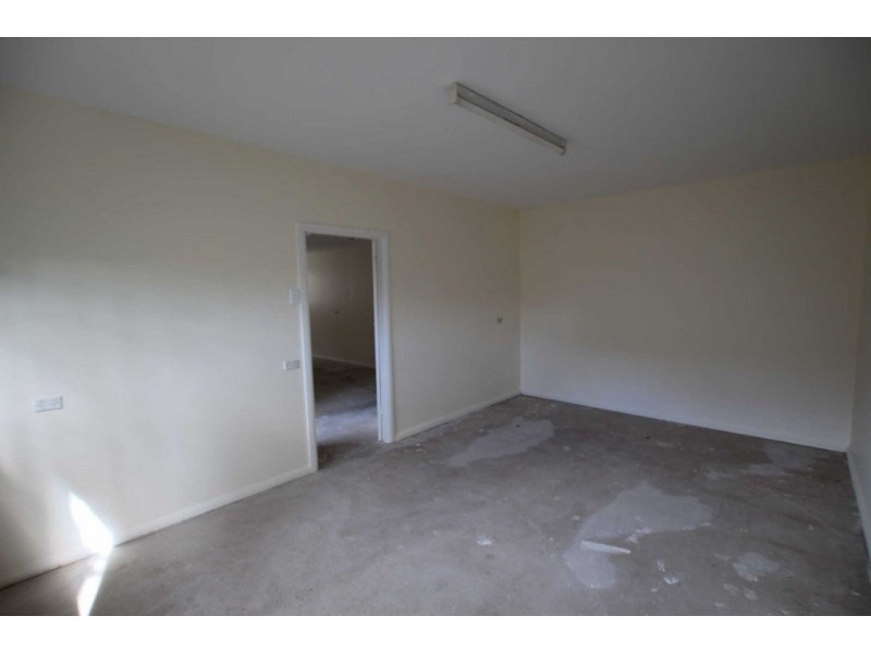 100 FRANCES STREET, South Wentworthville NSW 2145