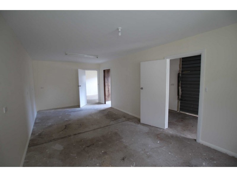 100 FRANCES STREET, South Wentworthville NSW 2145