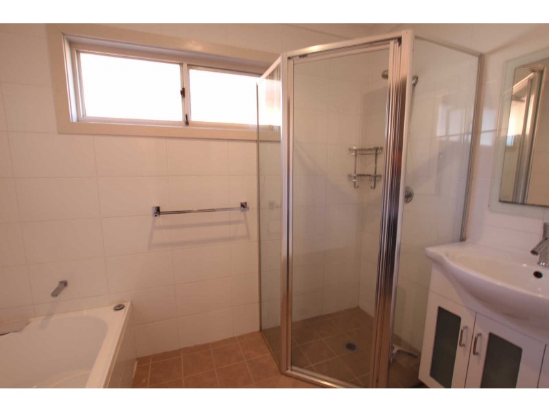 317 OLD PROSPECT ROAD, Greystanes NSW 2145