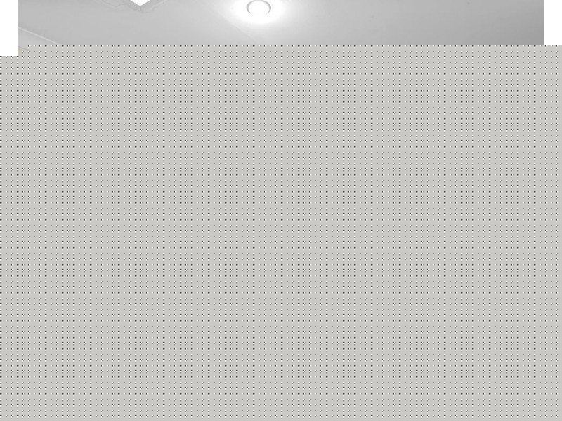 116 Rausch Street, Toongabbie NSW 2146