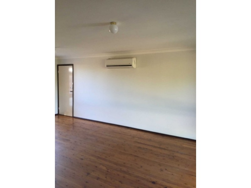 88 BEECHWOOD AVENUE, Greystanes NSW 2145