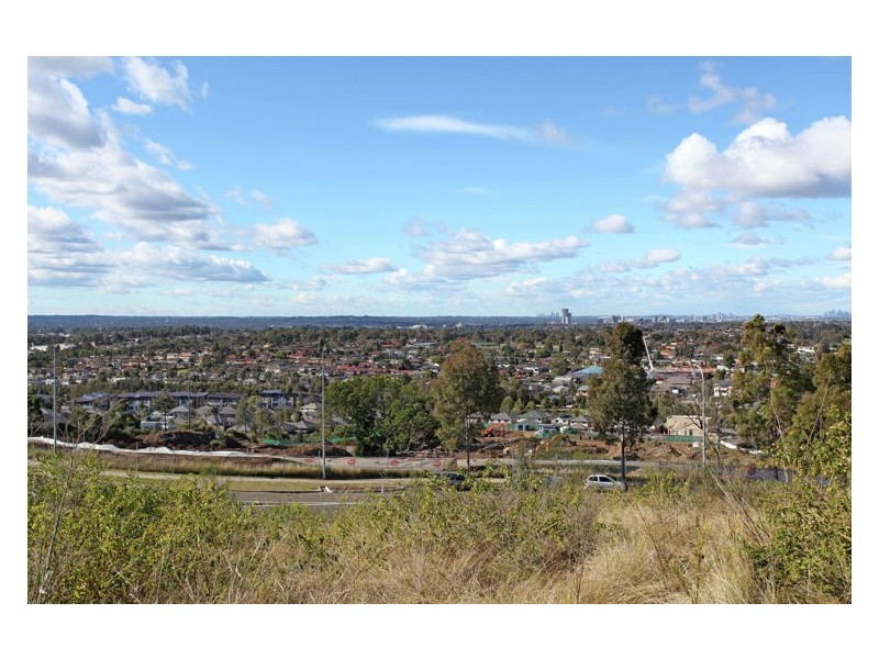 Lot 113 Butu Wargun Drive, Pemulwuy NSW 2145