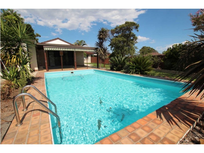 81 KIAMA STREET, Greystanes NSW 2145