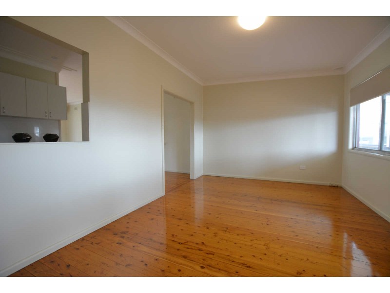 65 DAMIEN AVENUE, Greystanes NSW 2145