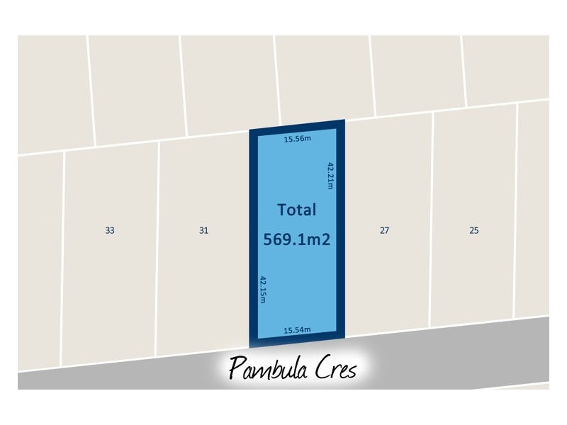 29 Pambula Crescent, Merrylands NSW 2160