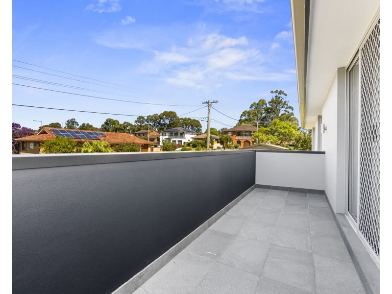 17 Kalang Road, Greystanes NSW 2145