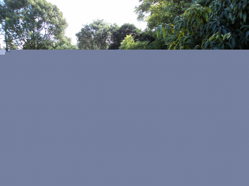 05 WEBB STREET, Merrylands NSW 2160