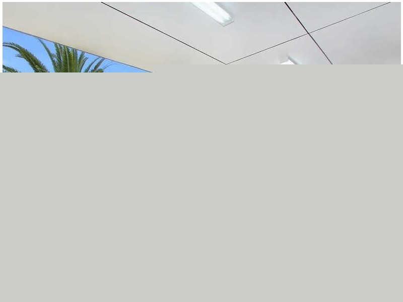 57 Pearson Street, South Wentworthville NSW 2145