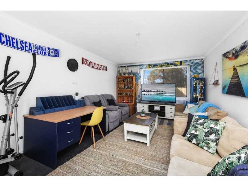 110 Mandarin Street, Villawood NSW 2163