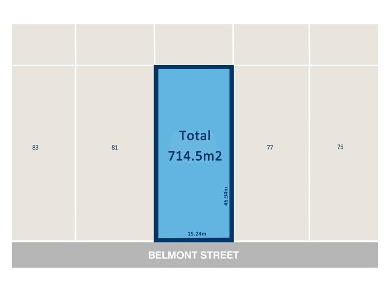 79 Belmont Street, Merrylands NSW 2160