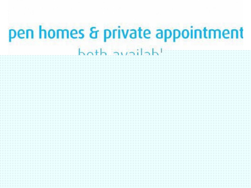 12/29 Neil Street, Merrylands NSW 2160