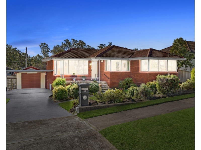 53 Bruce Street, Merrylands NSW 2160