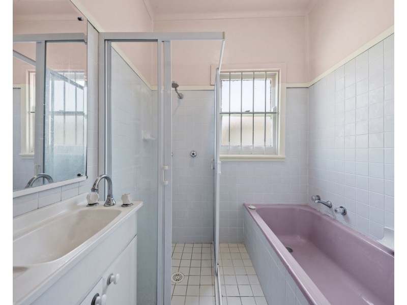 20 Cecilia Street, Toongabbie NSW 2146