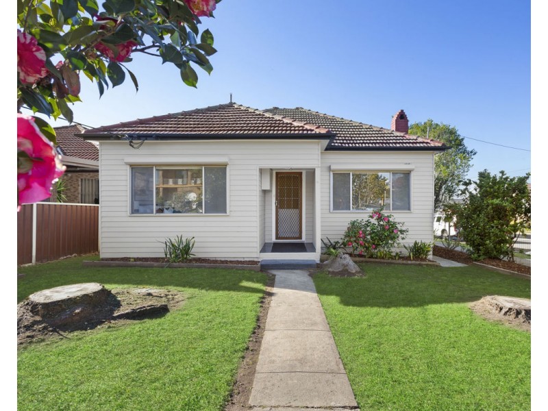 95 Excelsior Street, Merrylands NSW 2160