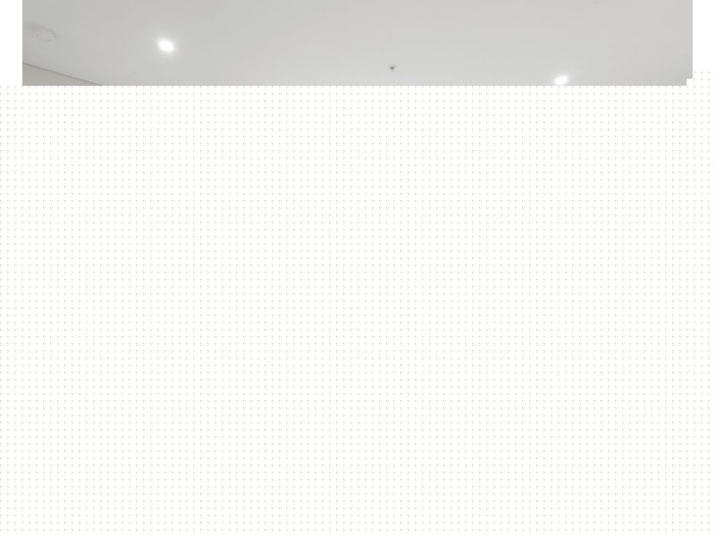 1101/20 Dressler Court, Merrylands NSW 2160