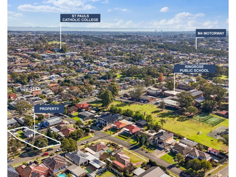 166 Adler Parade, Greystanes NSW 2145