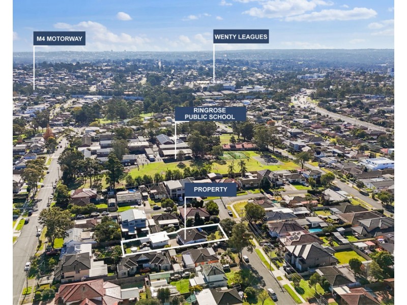 166 Adler Parade, Greystanes NSW 2145