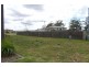 Lot 3209 Watkin Tench Parade, Pemulwuy NSW 2145